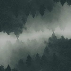 Meet your Posher, Elsa